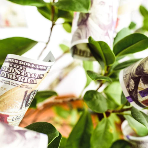 Veja franquias acessíveis para investir em 2025 e comece sua trajetória no empreendedorismo com marcas de baixo investimento e alta rentabilidade.